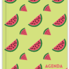 Agenda 2026 Sandias